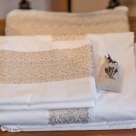 Hirundo Rustica * Skradin