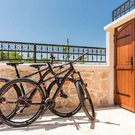 Hirundo Rustica * Skradin