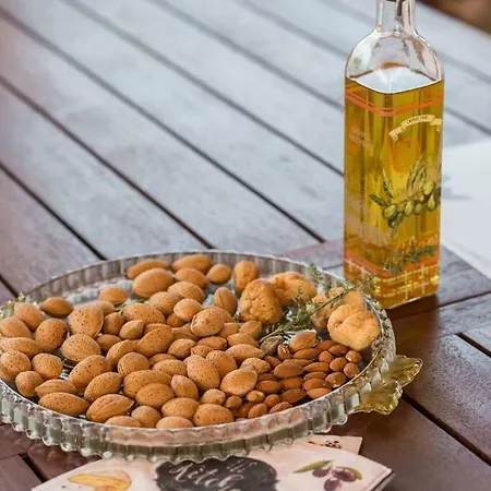 Hirundo Rustica Villa