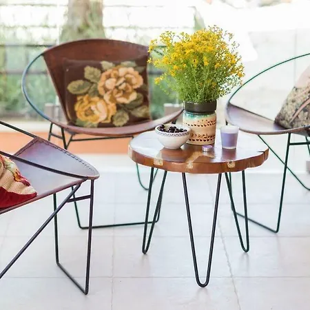 Hirundo Rustica Skradin