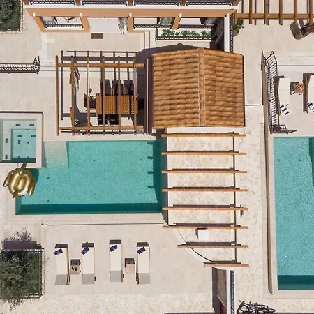 Hirundo Rustica * Skradin