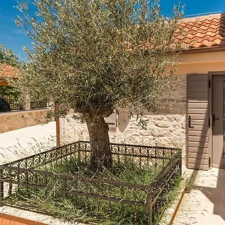 Hirundo Rustica * Skradin