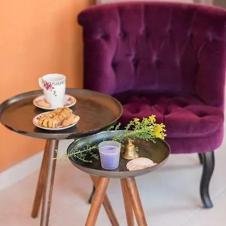 Hirundo Rustica Skradin