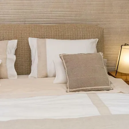 Hirundo Rustica Skradin