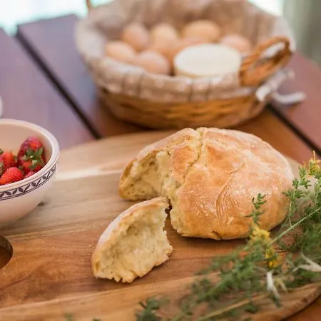 Hirundo Rustica Villa Skradin