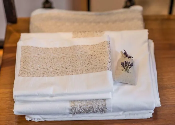 Hirundo Rustica * סקארדין