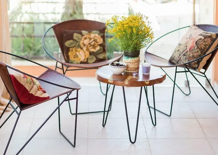 Hirundo Rustica Skradin