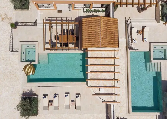 Hirundo Rustica * סקארדין