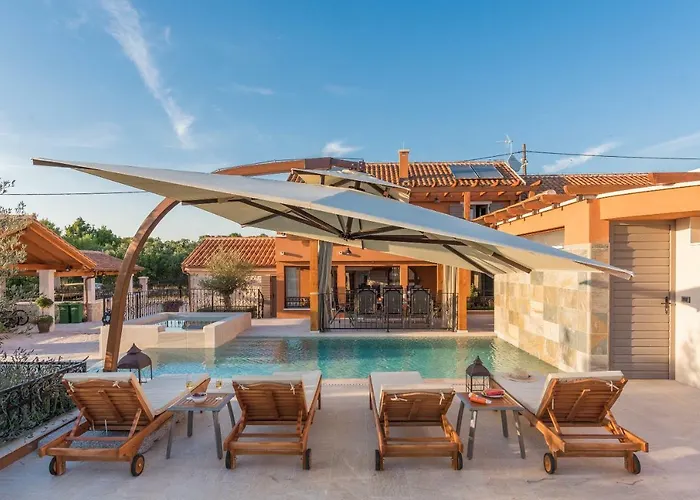 Hirundo Rustica סקארדין