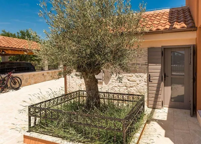 Hirundo Rustica * Skradin