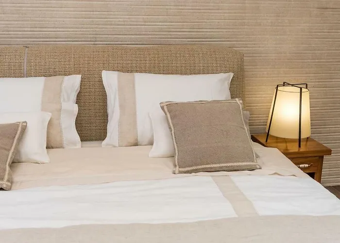 Hirundo Rustica סקארדין