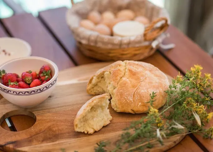 Hirundo Rustica וילה סקארדין